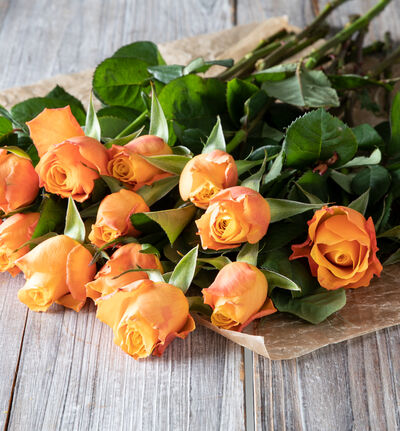 Roser oransje Roser oransje